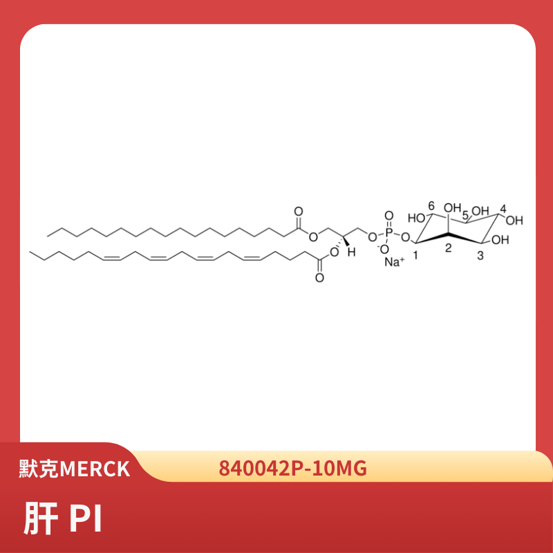 肝 PI